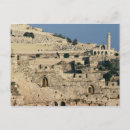 Recherche de olivier cartes postales Israël