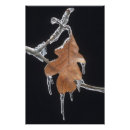 Recherche de glaçon art Hiver