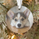 Recherche de pembroke welsh corgi ornements Mignon