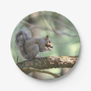 Recherche de écureuil assiettes en papier Forêt