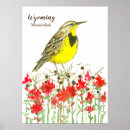 Suche nach songbird poster Singvogel