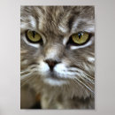 Suche nach künstlerische katze poster Niedlich