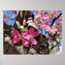 Recherche de ensoleillé posters Rose