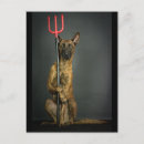 Suche nach teufel postkarten Hund