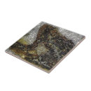 Recherche de rivera carreaux Magdalena carmen