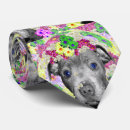 Recherche de bull terrier du staffordshire cravates Animal