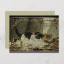 Recherche de chat noir vintage cartes postales Chatons
