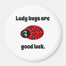 Recherche de de de coccinelle magnets Taches