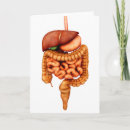 Suche nach menschliche anatomie karten Darm