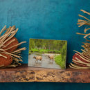 Recherche de wapiti plaques Colorado
