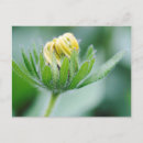 Recherche de durban cartes postales Image couleur