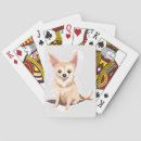 Suche nach chihuahua spielkarten Süß