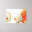 Suche nach menschliche drüsen leinwandbilder Biologie