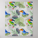 Suche nach cockatiel poster Kakadu