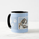 Recherche de st bernard tasses Bernhardiner