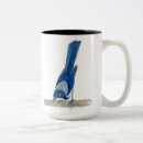 Recherche de geai bleu tasses Faune
