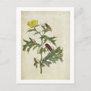 Suche nach maria sibylla merian poster Marine