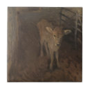 Recherche de veau carreaux Vache