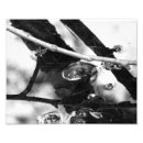 Suche nach die pfützen poster Teich