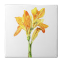 Recherche de canna Fleur