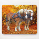 Recherche de belge tapis souris Automne