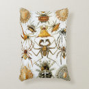 Recherche de arachnide coussins Halloween
