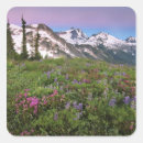 Recherche de washington autocollants Shuksan