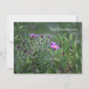 Suche nach lila wildblumen postkarten Fotografie