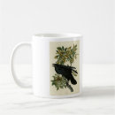 Recherche de corvus tasses Oiseau