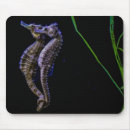 Recherche de hippocampes tapis souris Océan