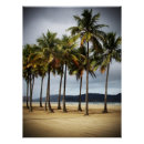Recherche de santo posters Nature