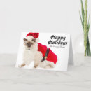 Recherche de la birmanie vœux cartes Photographie