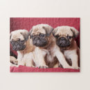 Suche nach mops puzzle Niedlich