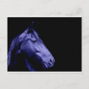 Recherche de chevaux bleus cartes postales Cheval
