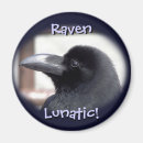 Recherche de ravenne magnets Oiseaux