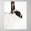 Recherche de vue de côté posters Photographie