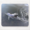 Suche nach delfin mousepads Schwimmbad