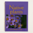 Recherche de indigène bureau fournitures Plantes