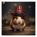 Suche nach meerschweinchen poster Süß