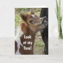 Suche nach lustig pferd geburtstag karten Für kinder