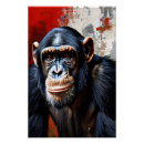 Recherche de chimpanzee posters Chimpanzé