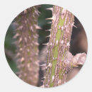 Suche nach fotografie aufkleber Natur