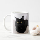 Recherche de chat sibérien tasses Animal de compagnie