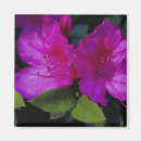 Recherche de jul magnets Julie eggers