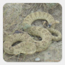 Recherche de sonnette autocollants Serpent à sonnettes