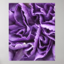 Suche nach narbe poster Blume
