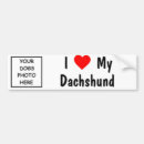 Suche nach weiner hund autoaufkleber Jagdhund