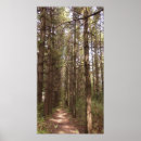 Recherche de forêt pin de posters Sapin