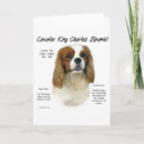 Suche nach kuckuck karten Cavalier king charles spaniel