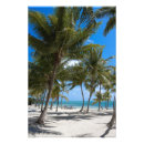 Recherche de naturaliste posters Key west